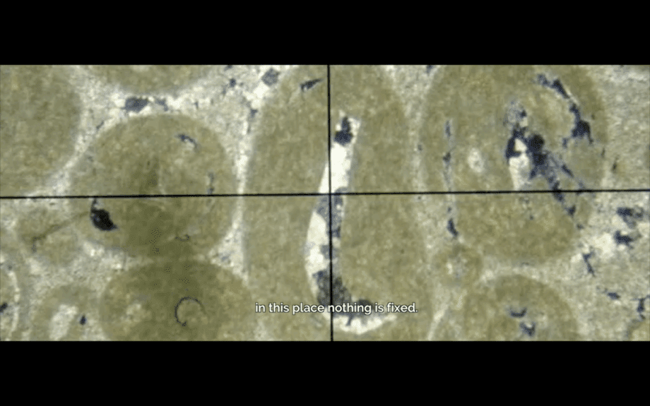 Image : Renata Haar et Karim Aïnouz, War and Debauchery, 2017, Montage vidéo et traitement d’image numériques | © Avec l’aimable autorisation des artistes et de Yehudi Hollander-Pappi